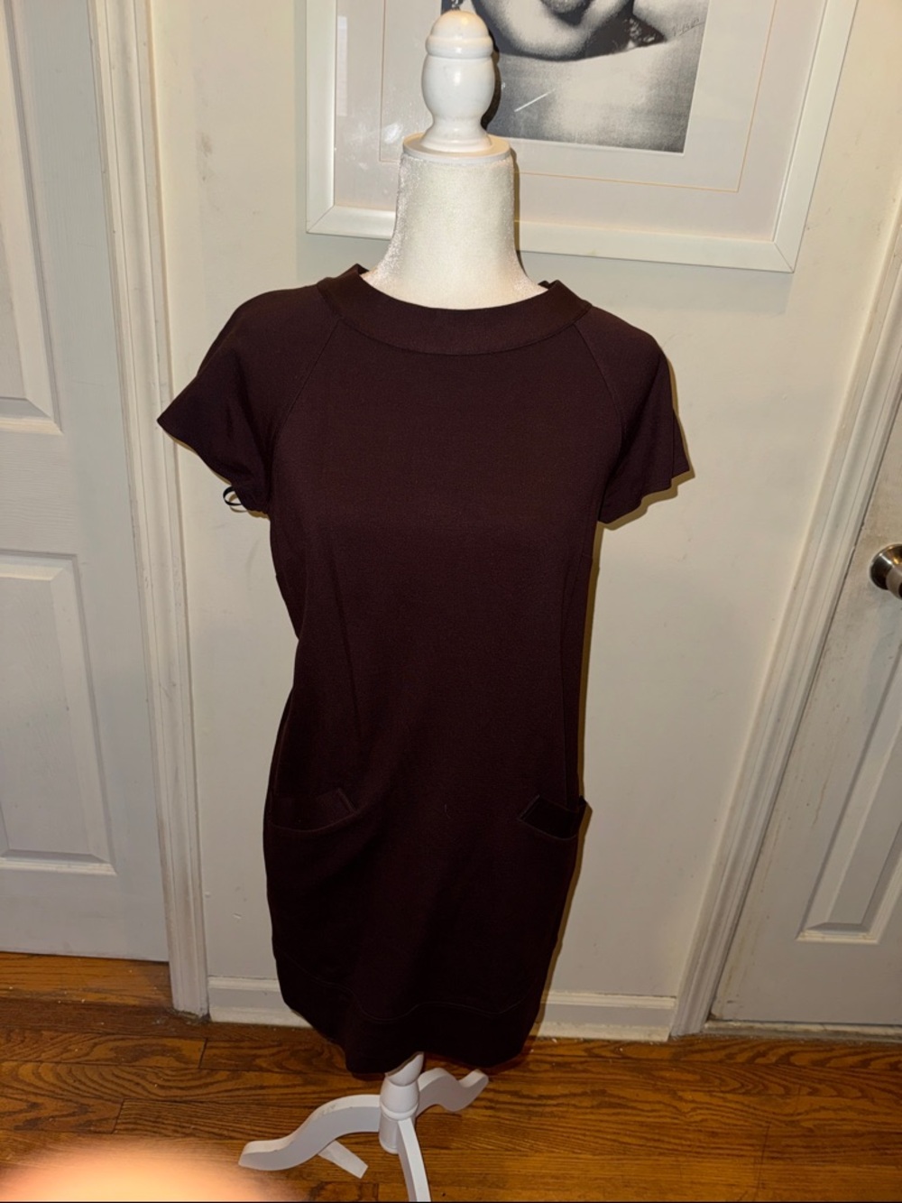 Laundry By Shelli Segal Deep Brown Short-Sleeve Mini Dress